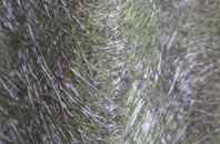 Lincoln fibreglass roof work